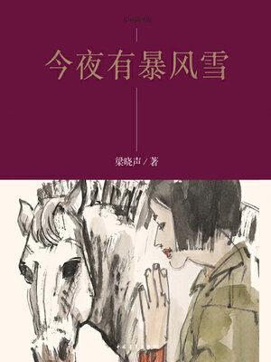 cover image of 今夜有暴风雪